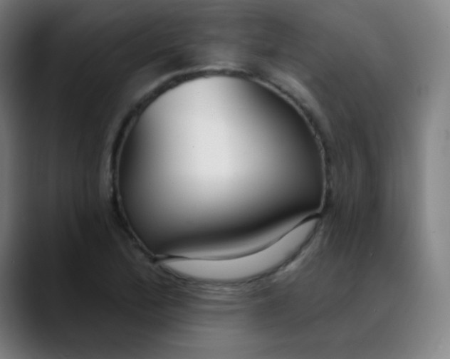 X0000089741172200707121502