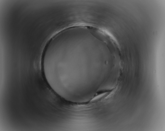 X0000089741173200707121502