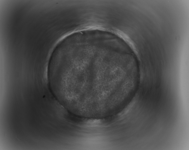 X0000089741174200707121502