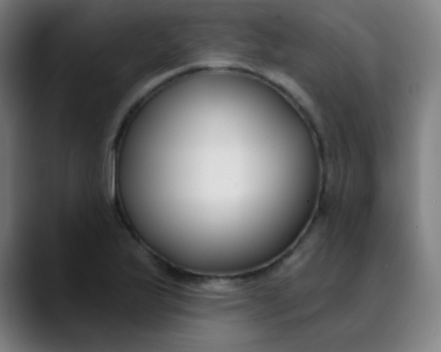 X0000089741175200707121502