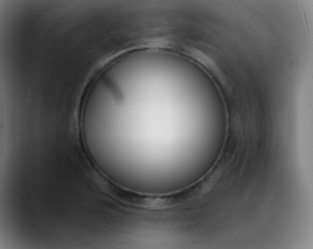 X0000089741176200707121502