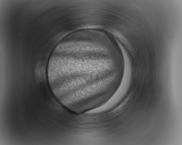 X0000089741177200707121502