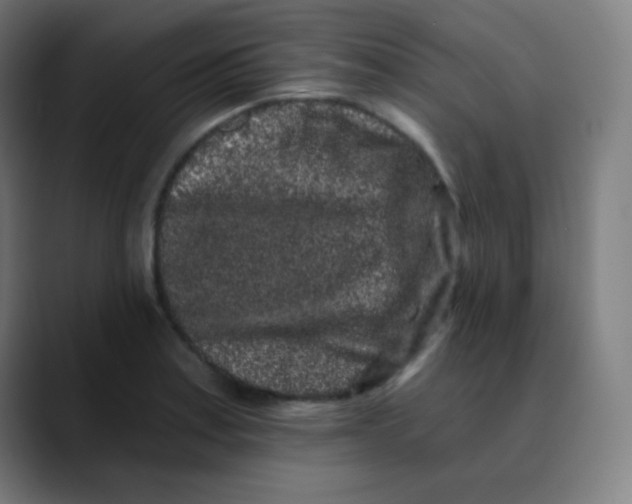 X0000089741179200707121502