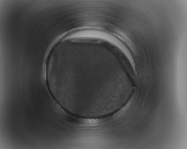 X0000089741180200707121502