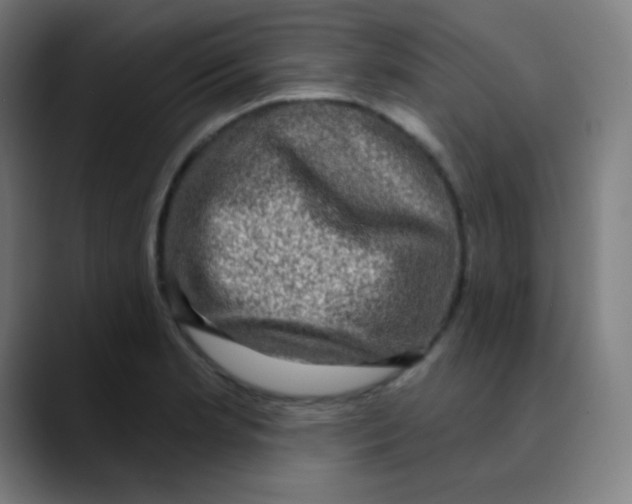 X0000089741181200707121502