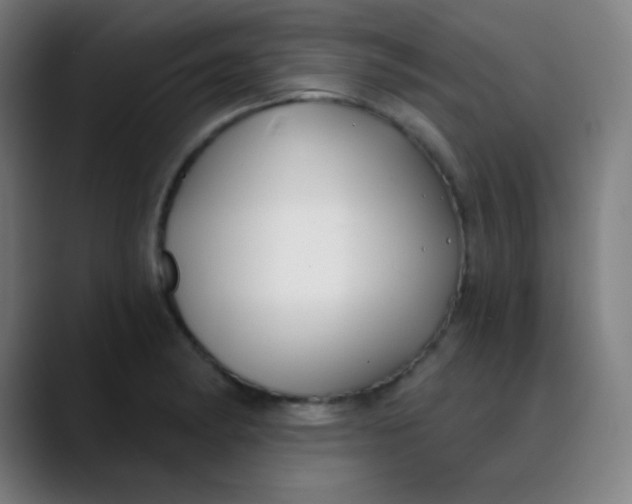 X0000089741182200707121502