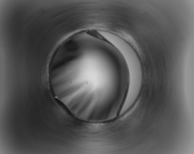 X0000089741184200707121502