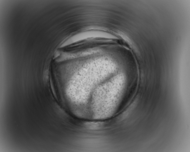 X0000089741185200707121502