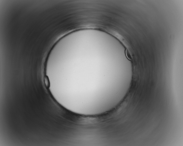 X0000089741187200707121502