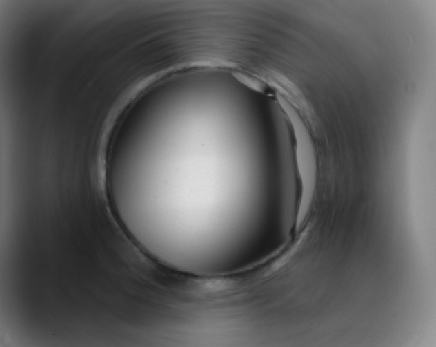 X0000089741188200707121502