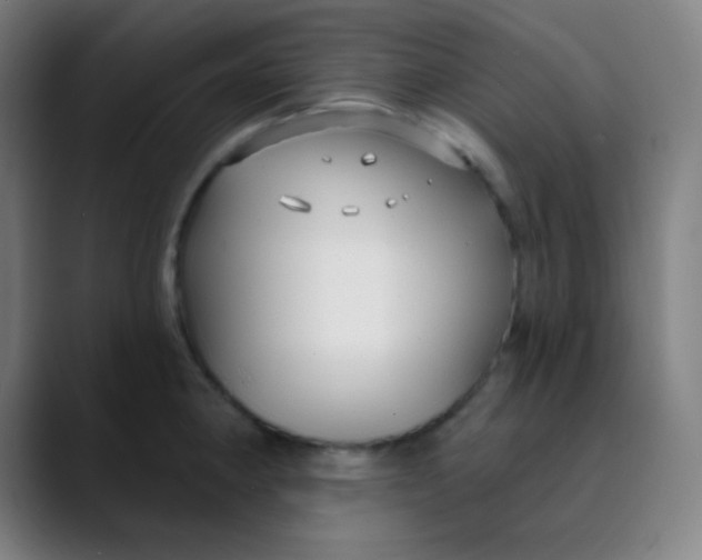 X0000089741190200707121502