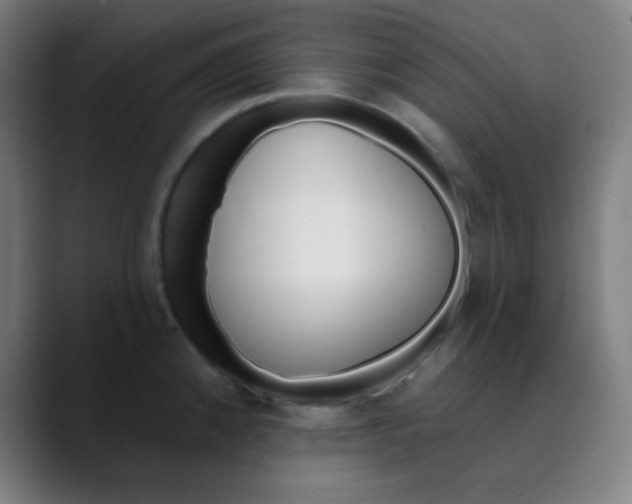 X0000089741192200707121502