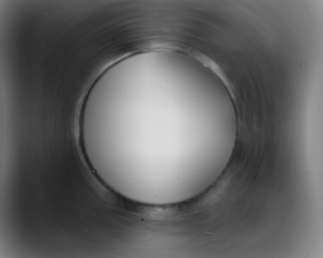 X0000089741195200707121501