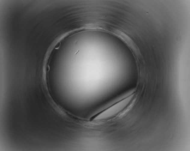 X0000089741196200707121501