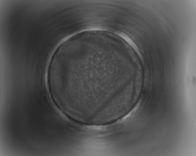 X0000089741197200707121501