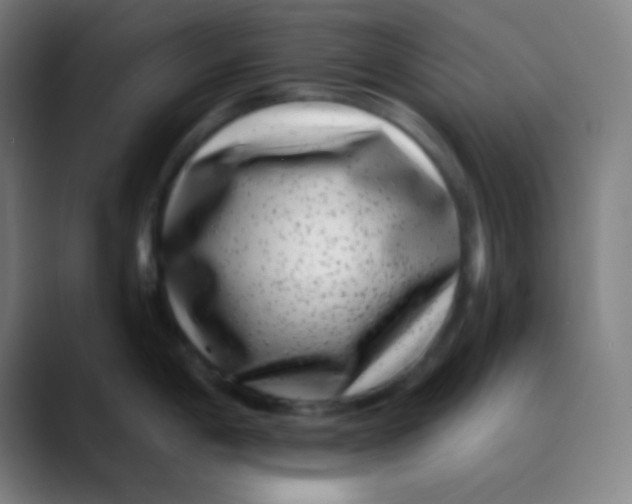 X0000089741198200707121501