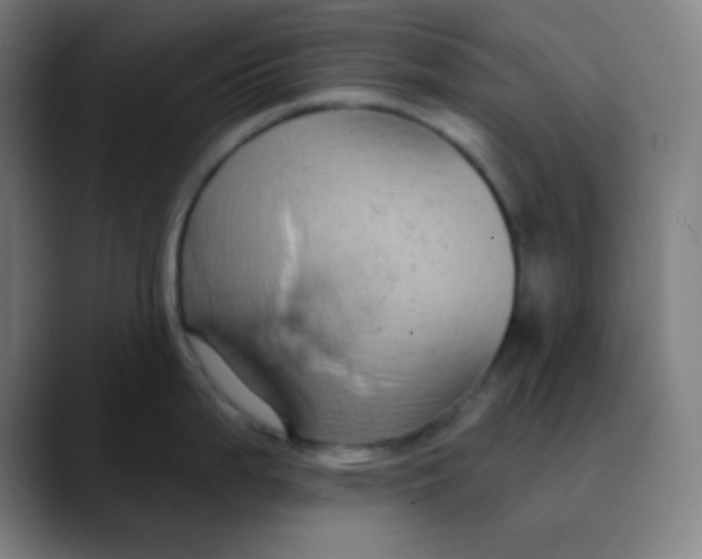 X0000089741199200707121501