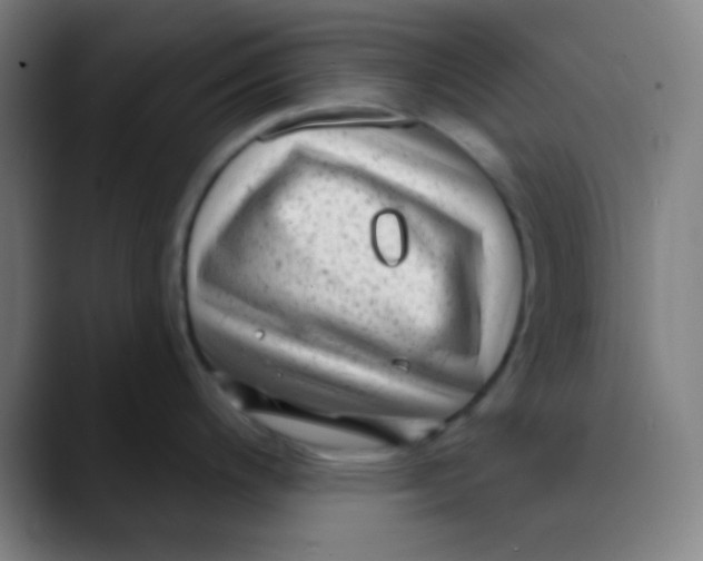 X0000089741200200707121501