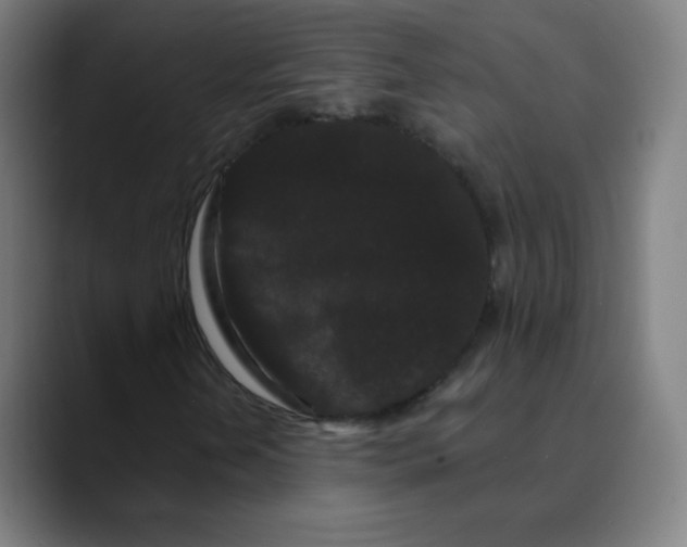 X0000089741202200707121501