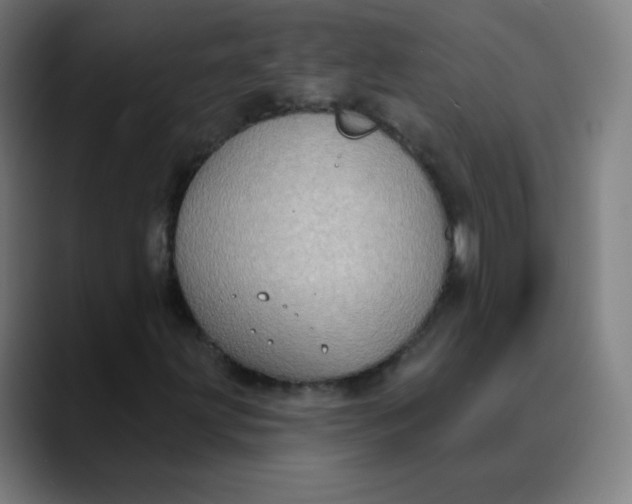 X0000089741203200707121501