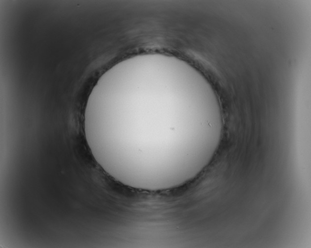 X0000089741207200707121501