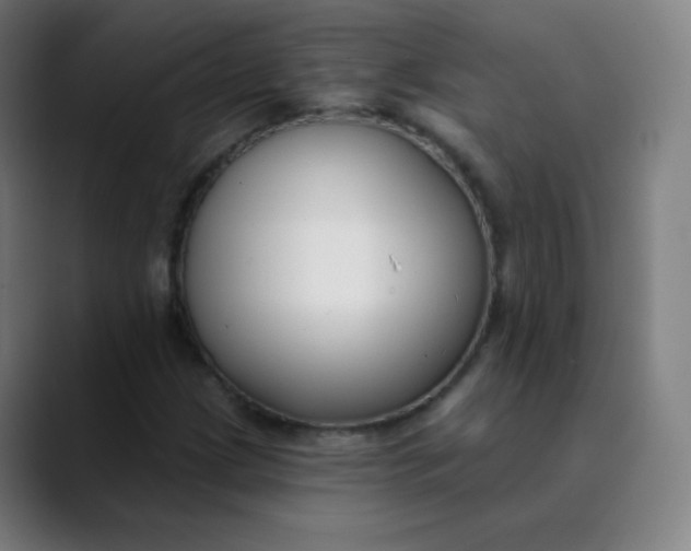 X0000089741209200707121501