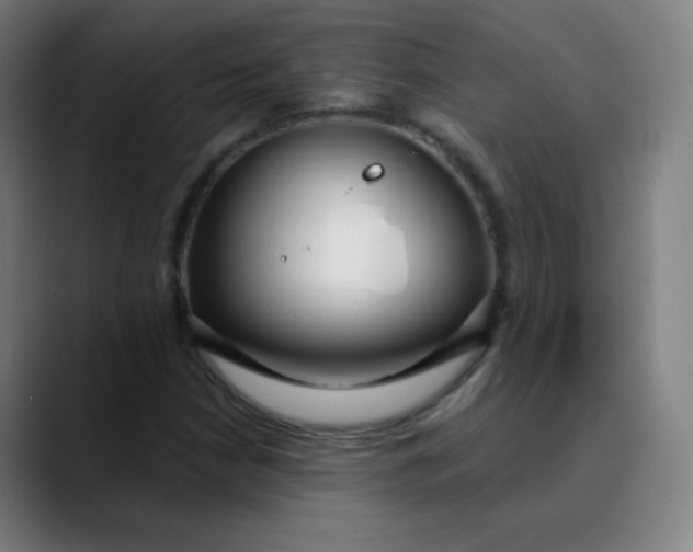 X0000089741210200707121501