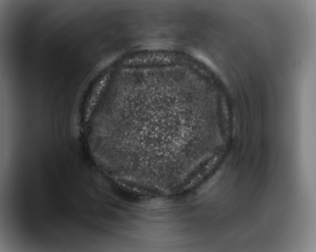 X0000089741213200707121501