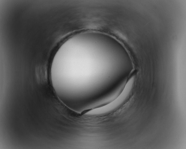 X0000089741214200707121501