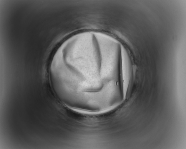 X0000089741215200707121501