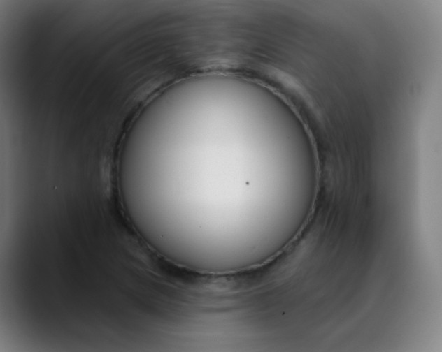 X0000089741217200707121501