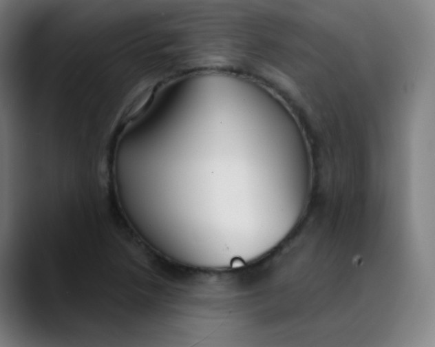 X0000089741218200707121501