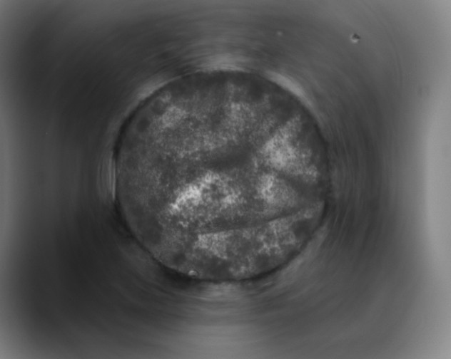 X0000089741219200707121501