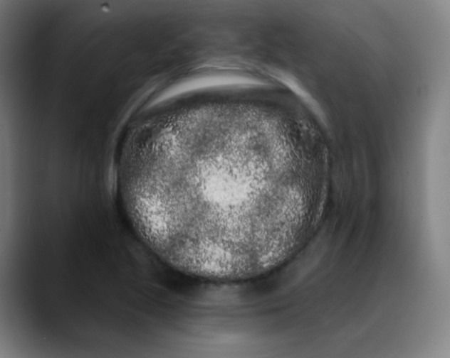 X0000089741221200707121501