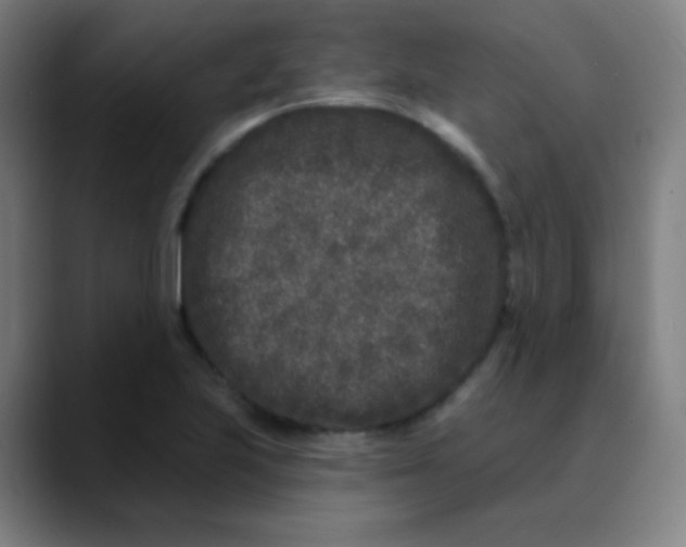 X0000089741223200707121501