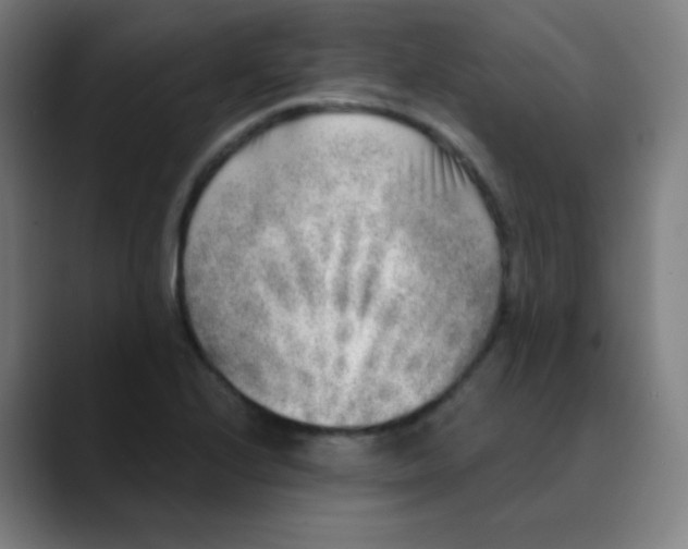 X0000089741224200707121501