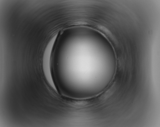 X0000089741225200707121501