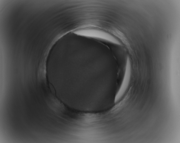 X0000089741226200707121501