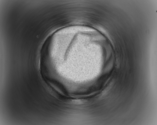 X0000089741227200707121501