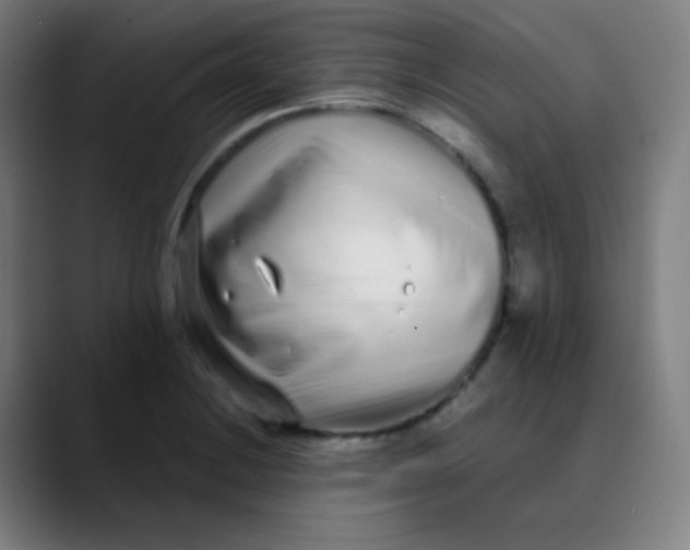 X0000089741228200707121501