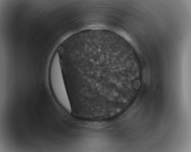 X0000089741229200707121501