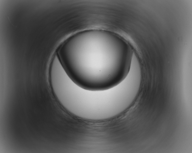 X0000089741230200707121501