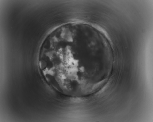 X0000089741231200707121501