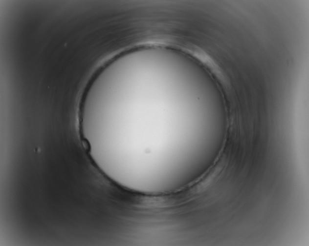 X0000089741232200707121501