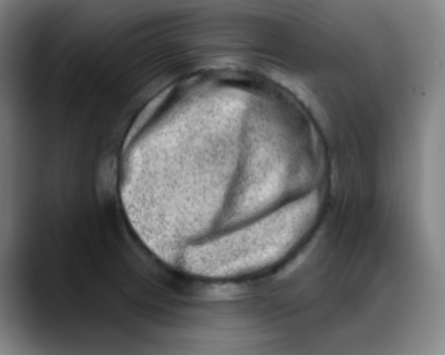 X0000089741233200707121501