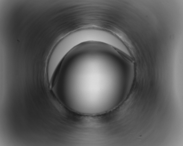 X0000089741234200707121501