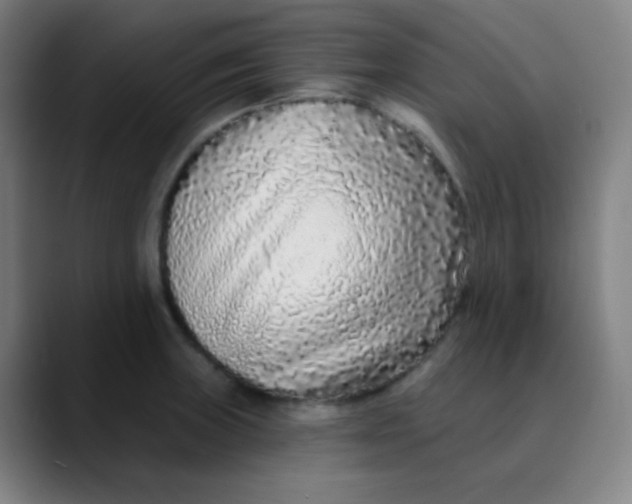 X0000089741235200707121501