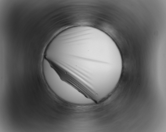 X0000089741236200707121501