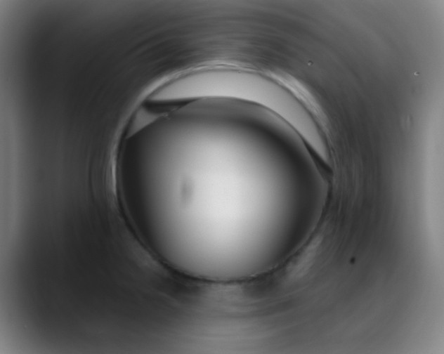 X0000089741238200707121501