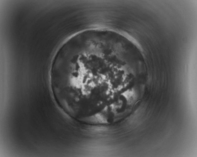 X0000089741239200707121501